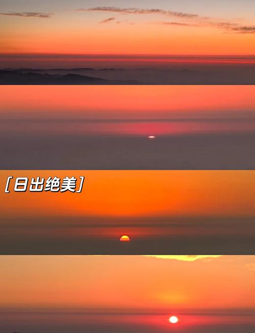 下载中心 第28页